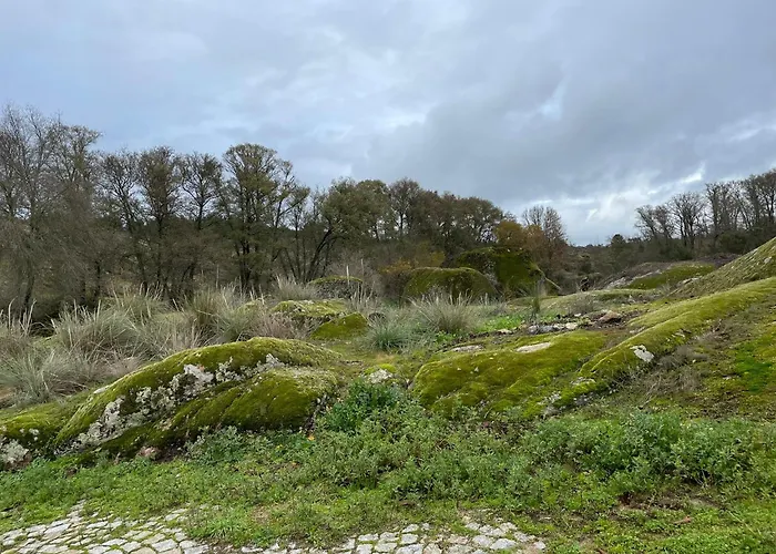 Casa Dos Moinhos De Aveia * Alverca da Beira